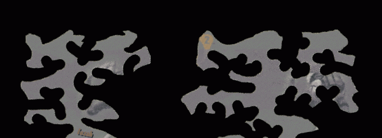 Download roper5-lh.png