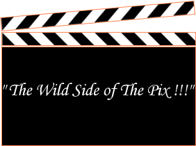 Wild Side of The Pix - Click to enlarge